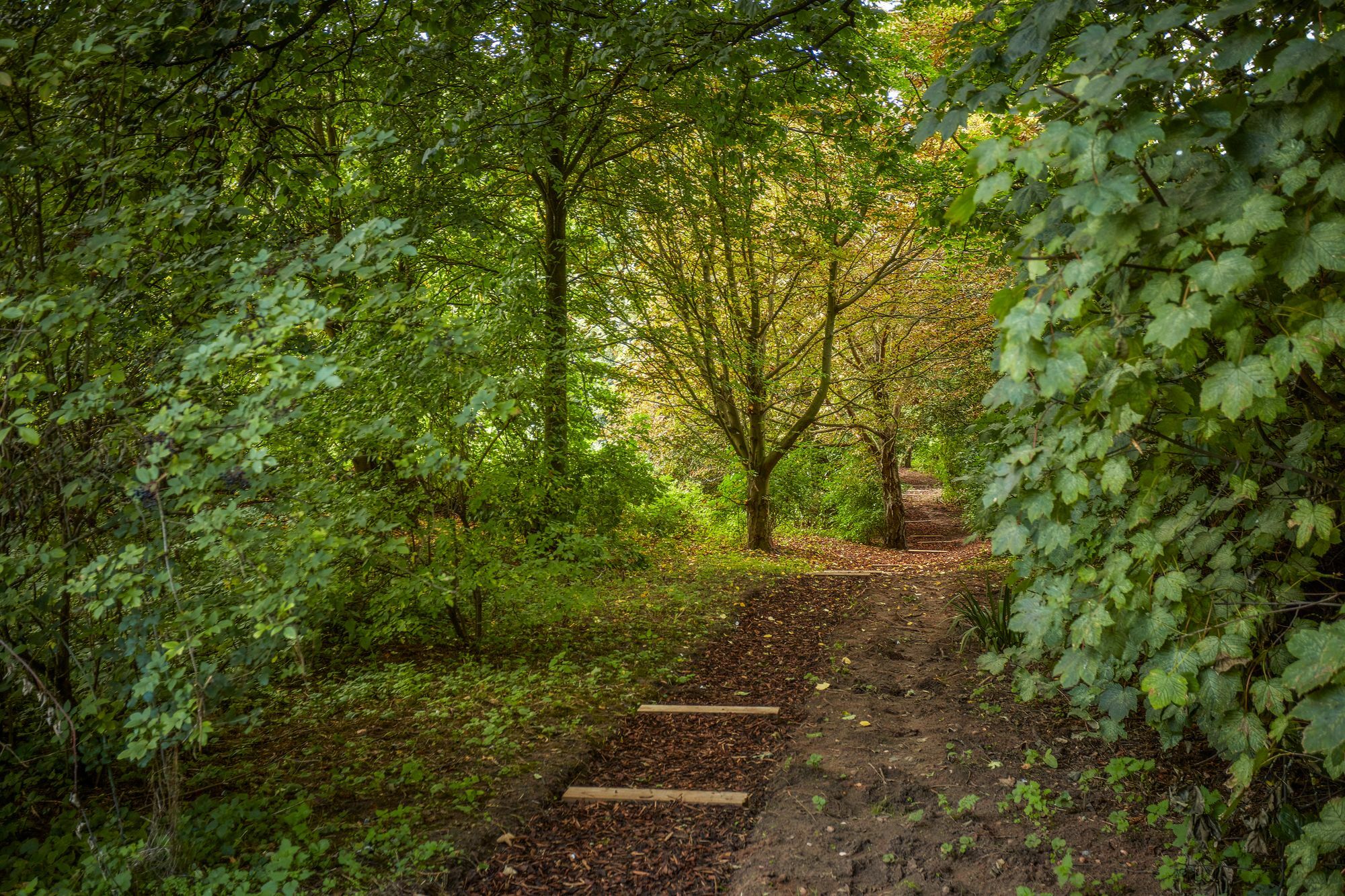 Mallory Court Country House Hotel & Spa Leamington Exteriér fotografie